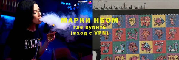 гашик Алексин