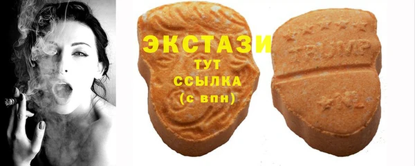 гашик Алексин