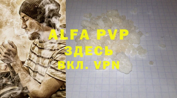 гашик Алексин
