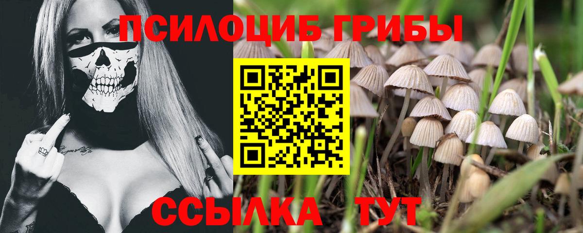 Псилоцибиновые грибы ЛСД Полысаево